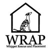 WRAP: Whippet Rescue and Placement